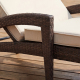 Brich Outdoor Chaise Lounge (Set of 2)