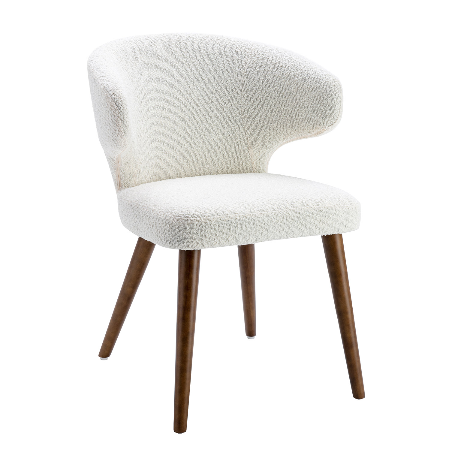 Modern Dining Chair (Set of 2)