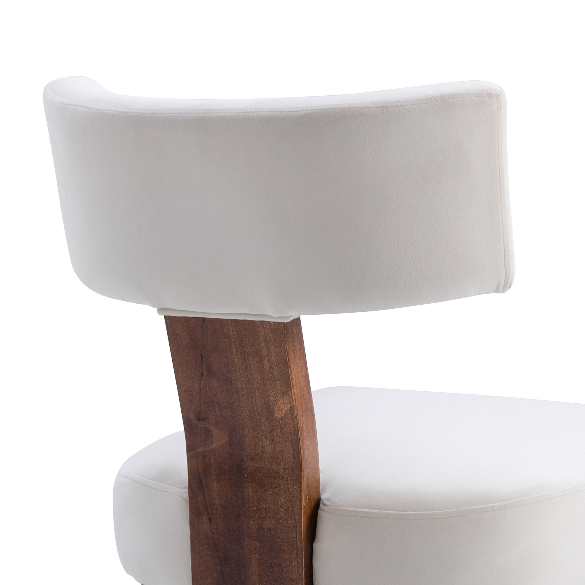 Payson Dining Chairs (Set of 2)