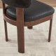 Maira Dining Chairs (Set of 2)