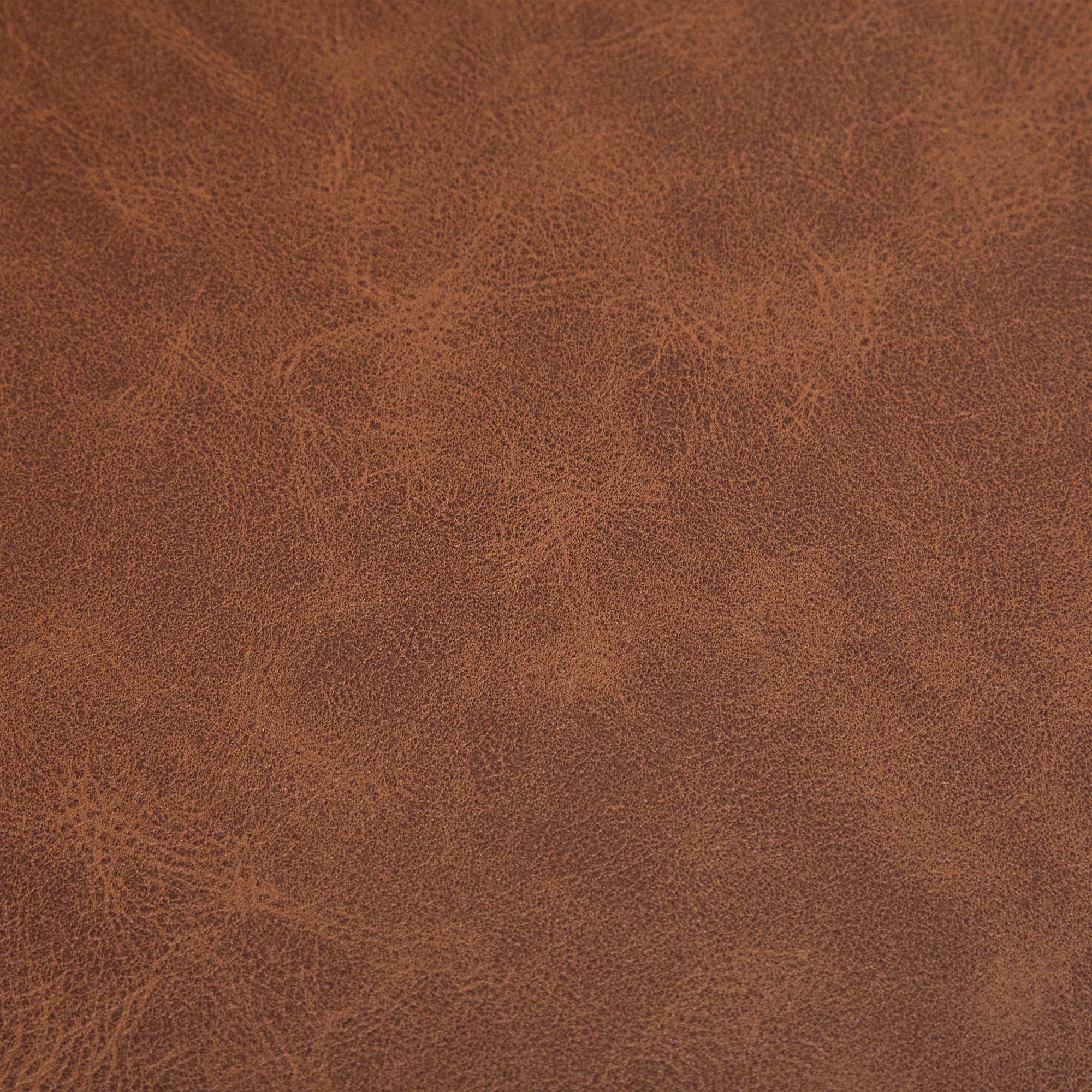 Maira Dining Chairs (Set of 2)