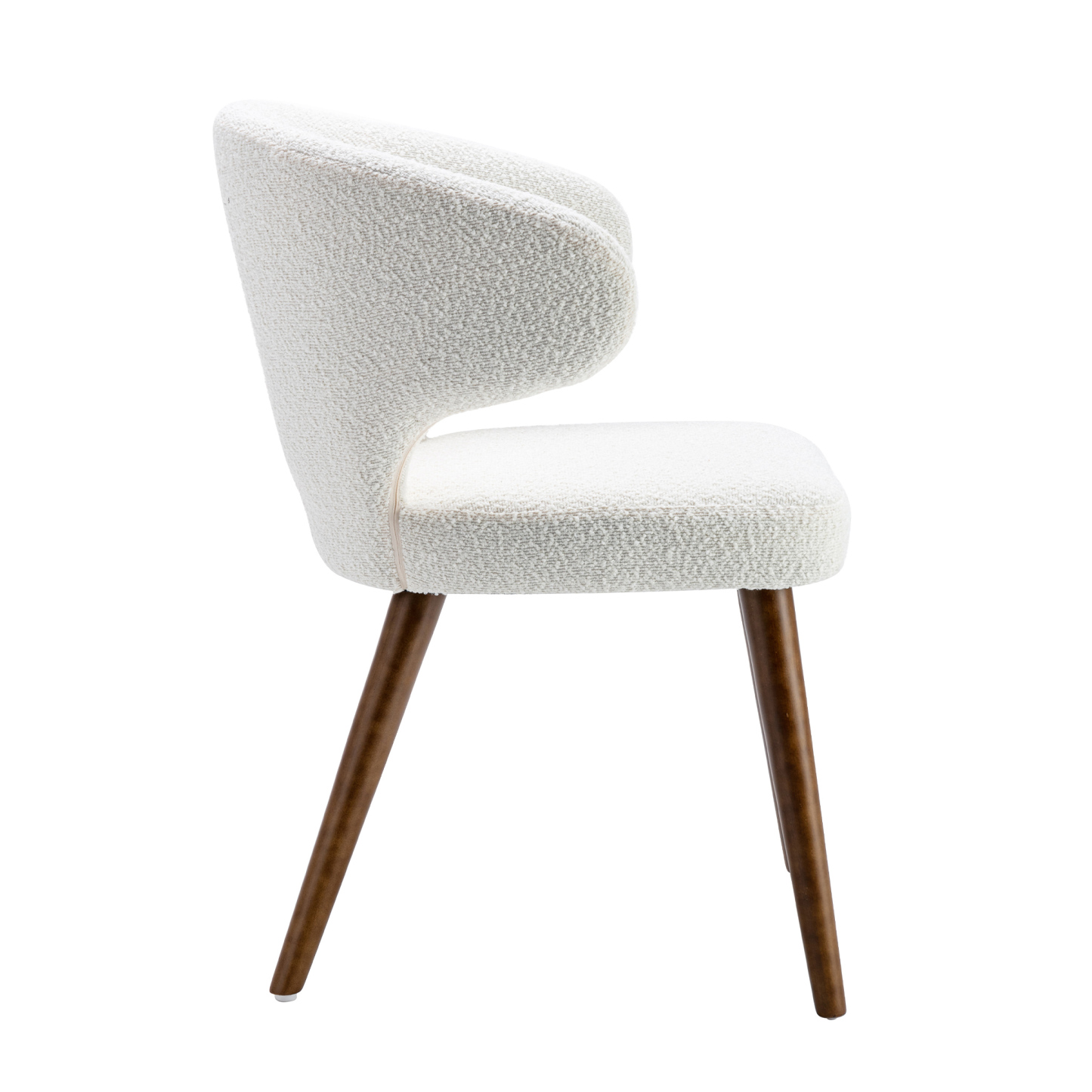 Modern Dining Chair (Set of 2)