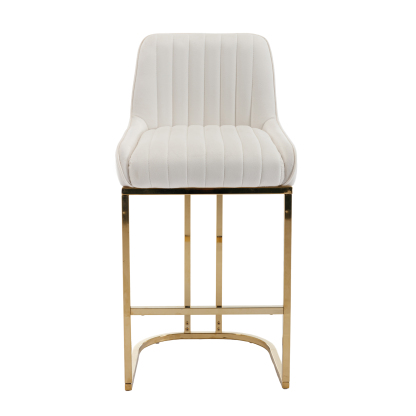 Spencer Counter & Bar Stool (Set of 2)