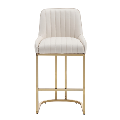 Spencer Counter & Bar Stool (Set of 2)