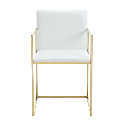 Fabio Arm Dining Chair (Set of 2)