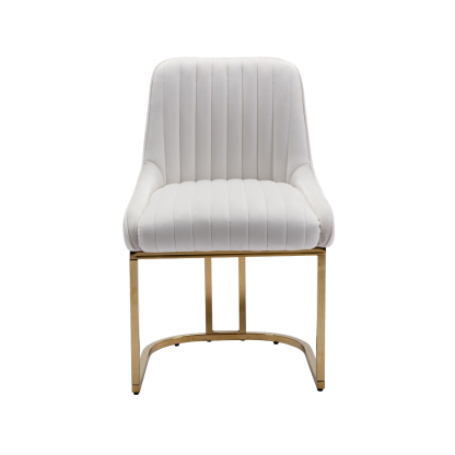 Spencer Velvet Dining Chairs (Set of 2)