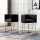 Vintle Bar & Counter Stool (Set of 2)