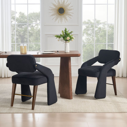 Ivan Dining Chair (Set of 2)