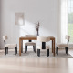 Payson Dining Chairs (Set of 2)