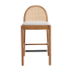 Salem Rattan Bar Stools (Set of 2)