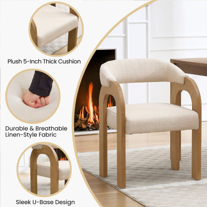 Clara Mid Century Modern Dining Chairs (Set of 2)