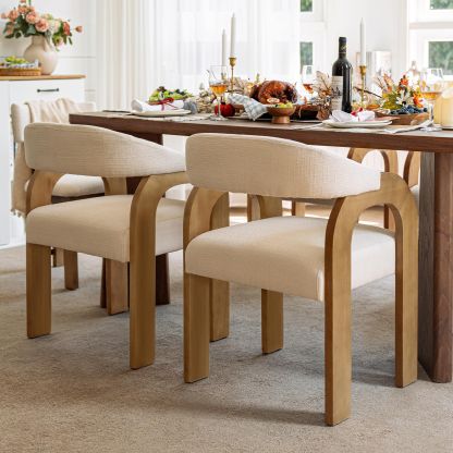 Clara Mid Century Modern Dining Chairs (Set of 2)