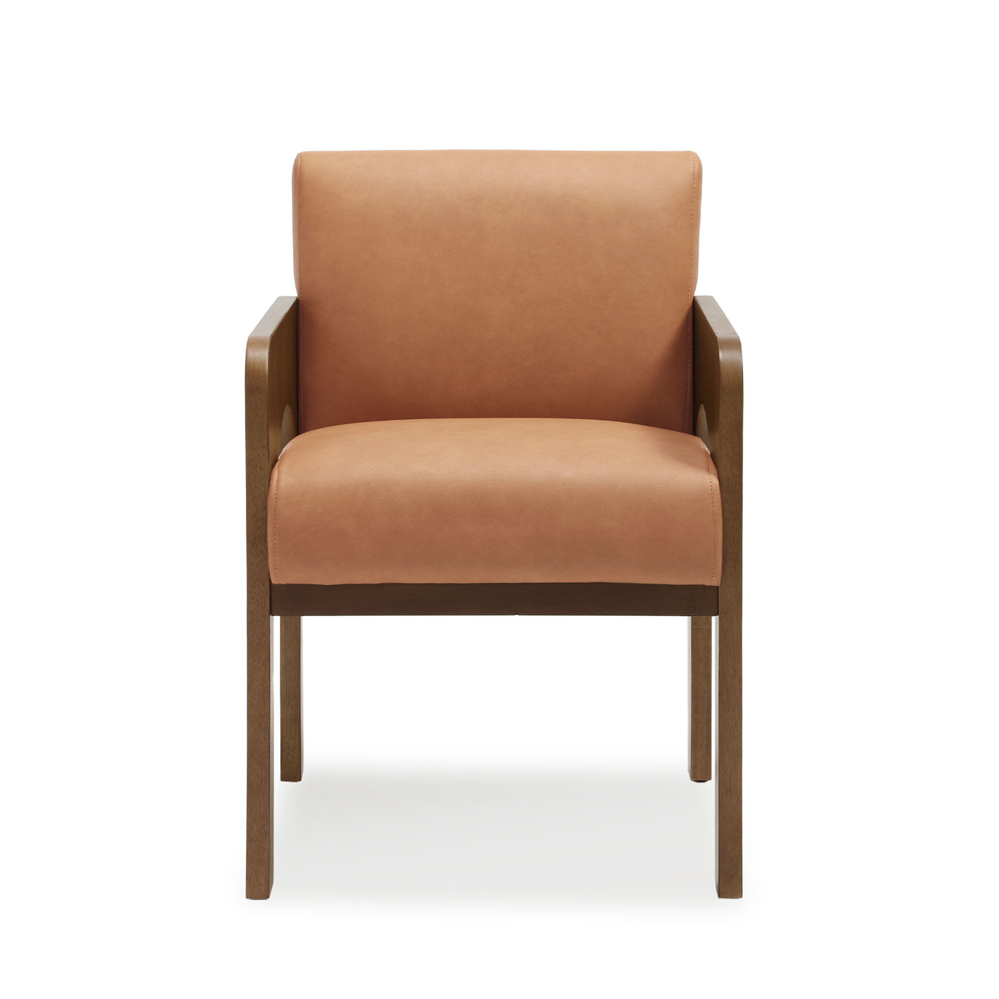 Hugo Dining Chairs (Set of 2)