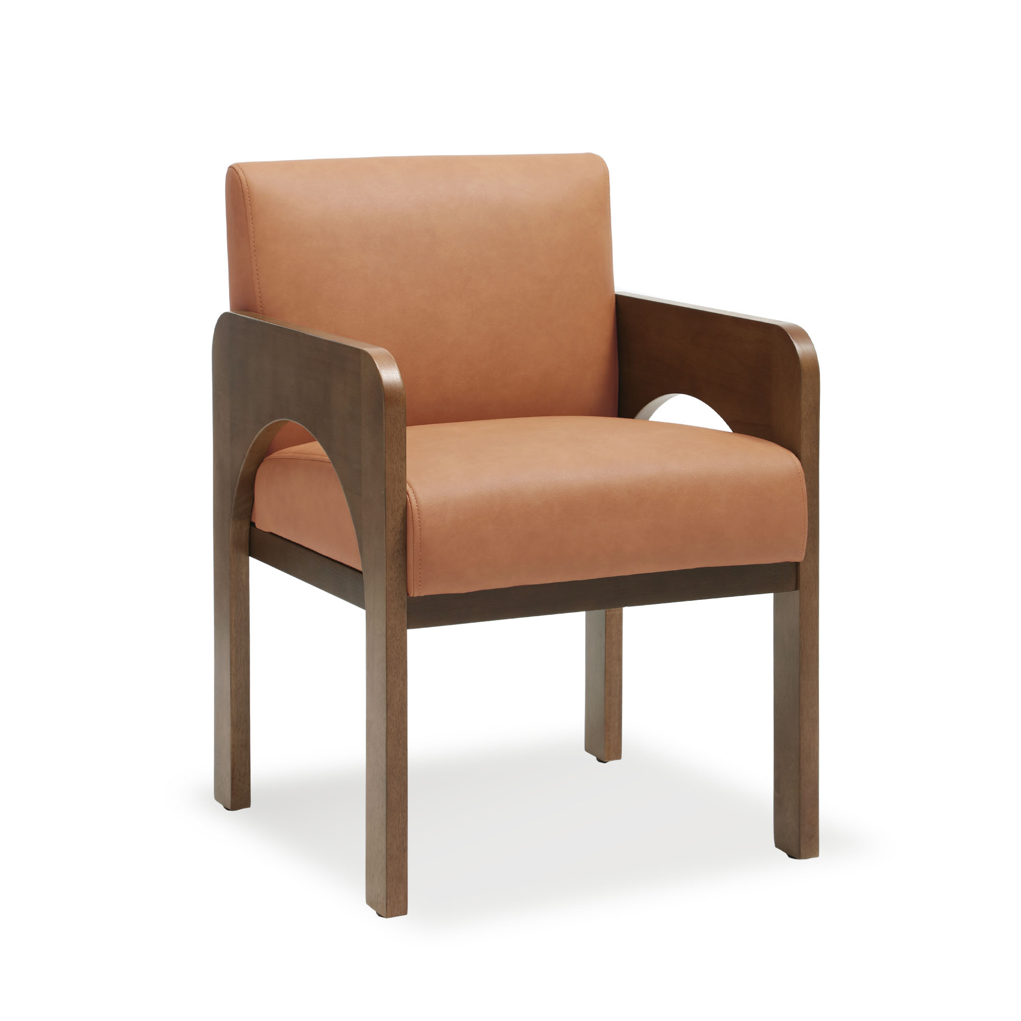 Hugo Dining Chairs (Set of 2)