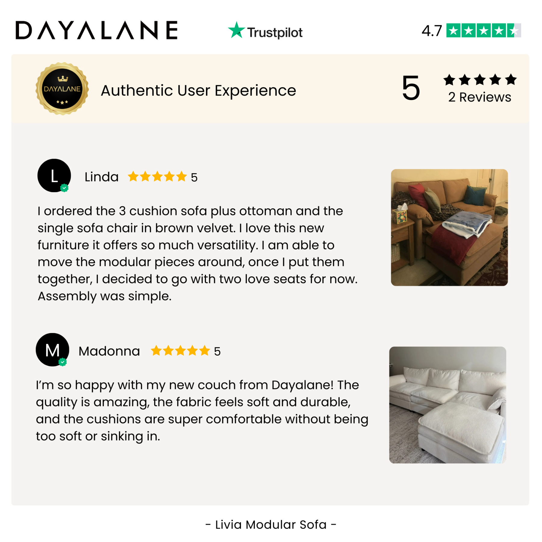 Livia Modular Sofa - Luxury Modern Sofa