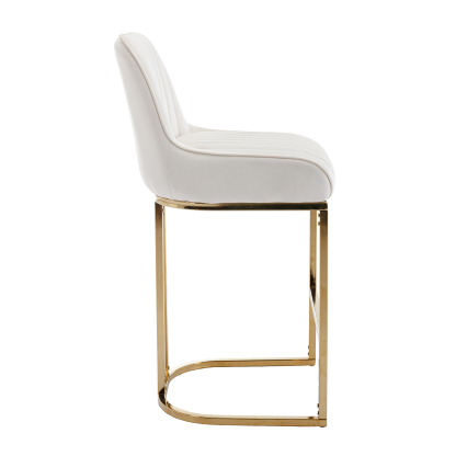 Spencer Counter & Bar Stool (Set of 2)
