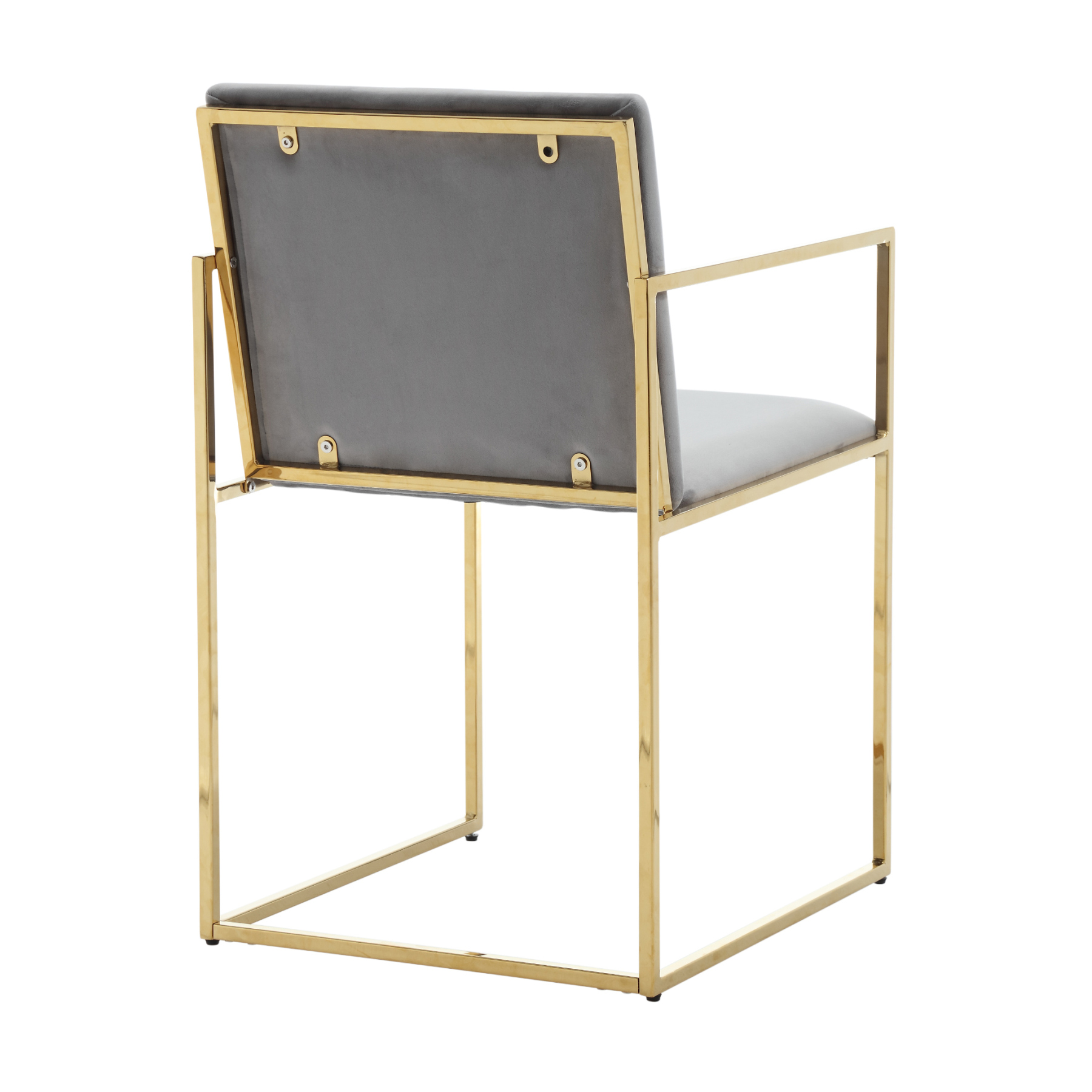 Fabio Arm Dining Chair (Set of 2)