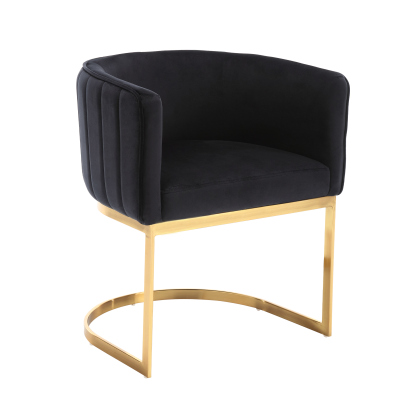 Windell Dining Chairs (Set of 2)