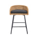 Neil Outdoor Cane Bar Stools (Set of 2)
