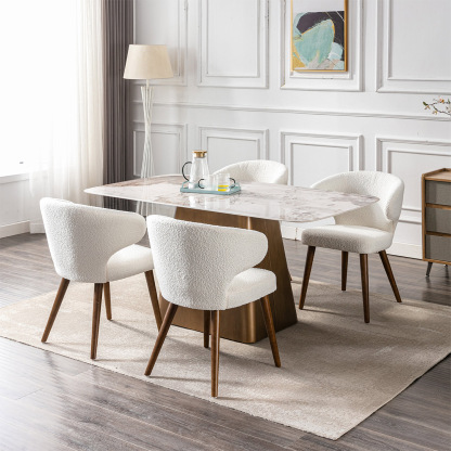 Modern Dining Chair (Set of 2)