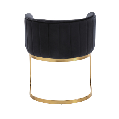 Windell Dining Chairs (Set of 2)