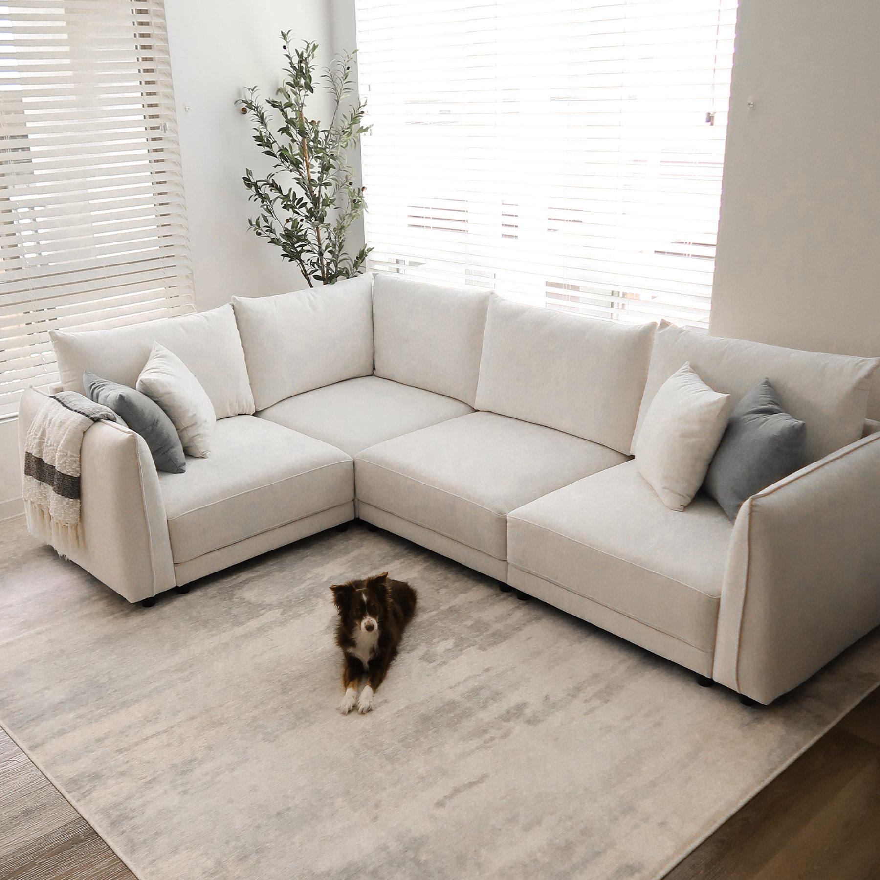 Leen Sectional Sofa