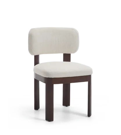 Maira Mid Century Modern Wood Dining Chairs (Set of 2)