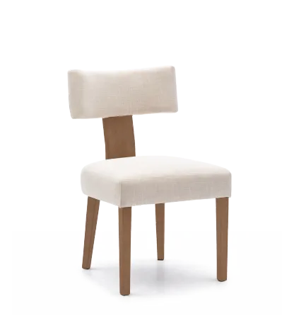 Payson Modern Upholstered Dining Chairs (Set of 2)
