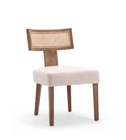 Payson Modern Cane Dining Chairs (Set of 2)
