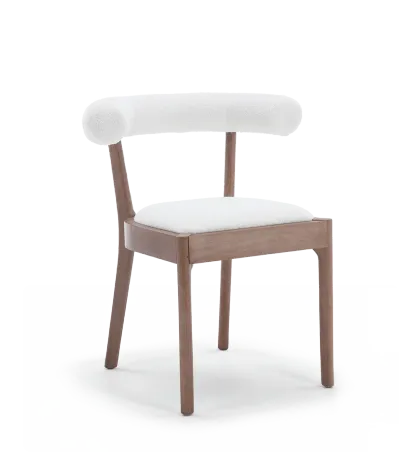 Taylor Modern Rustic Dining Chairs (Set of 2)