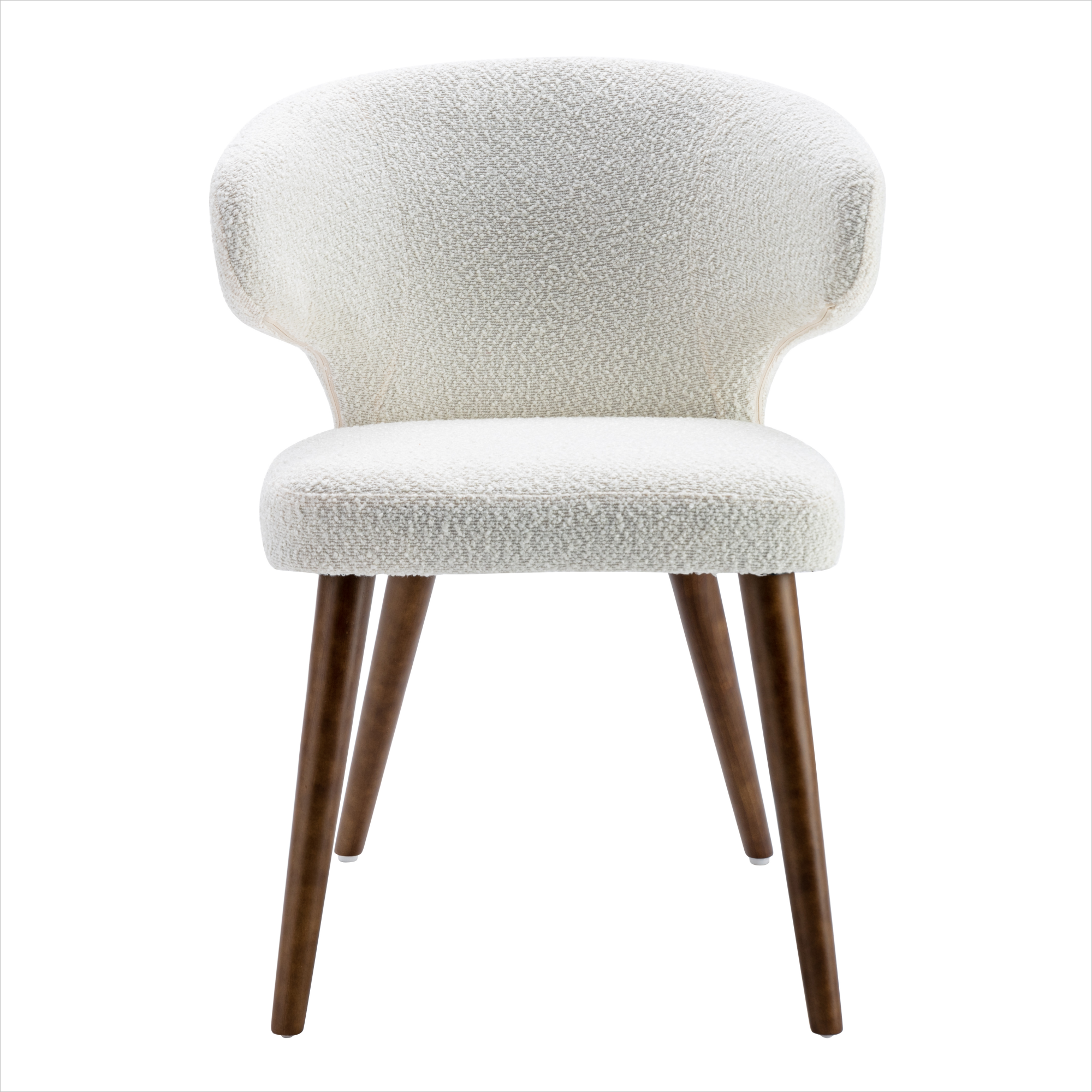 Modern Dining Chair (Set of 2)
