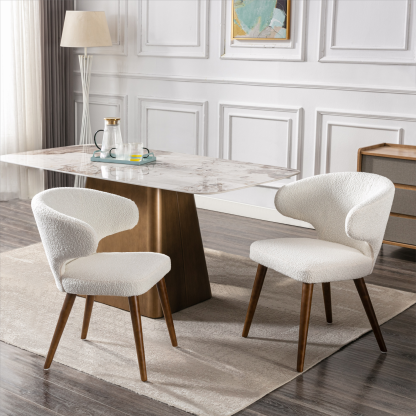 Modern Dining Chair (Set of 2)