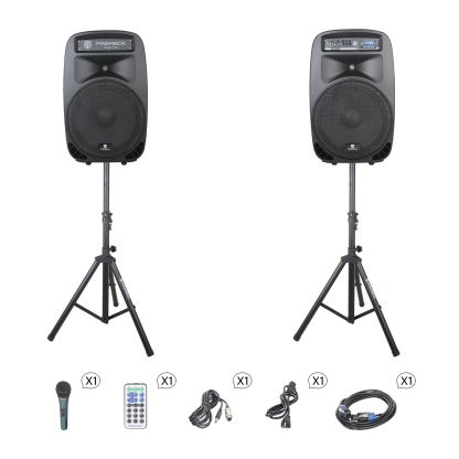 Reck PARTY-15 | 2000W 15'' PA Speaker