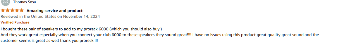 proreck party15 portable pa speaker with wireless mic and bluetooth