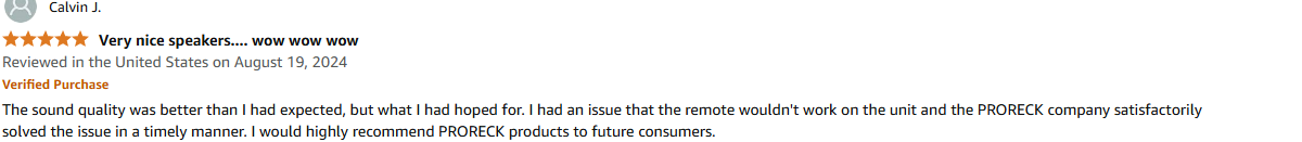 proreck party15 portable pa speaker with wireless mic and bluetooth