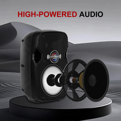 10 inch woofer and precision tweeter on PRORECK Impact10 powered speaker