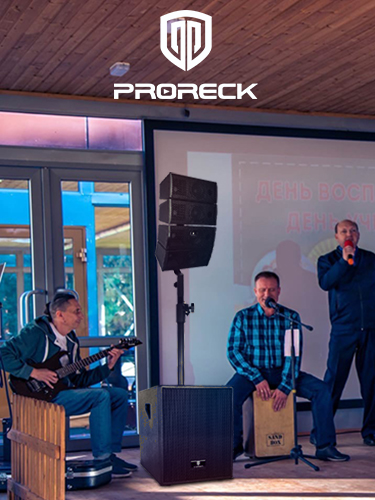 Proreck Club 3000 Proreck Speakers PA speakers Party Speaker | 12 inch subwoofers