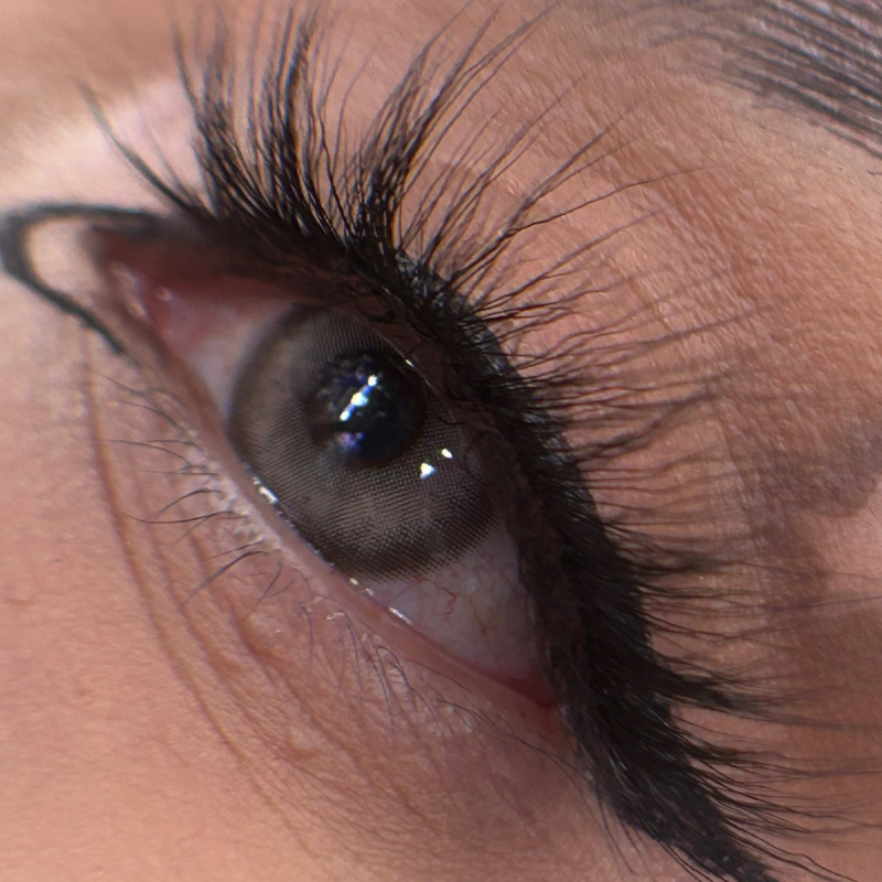 【Prescription】Freshlady 【1 DAY】 2 PCS |  Nagini Brown