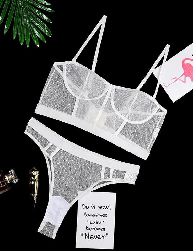 Lace Mesh Lingerie Set