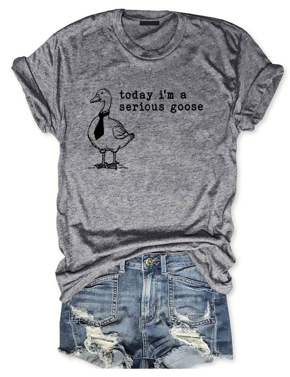 Today I'm a Serious Goose T-Shirt