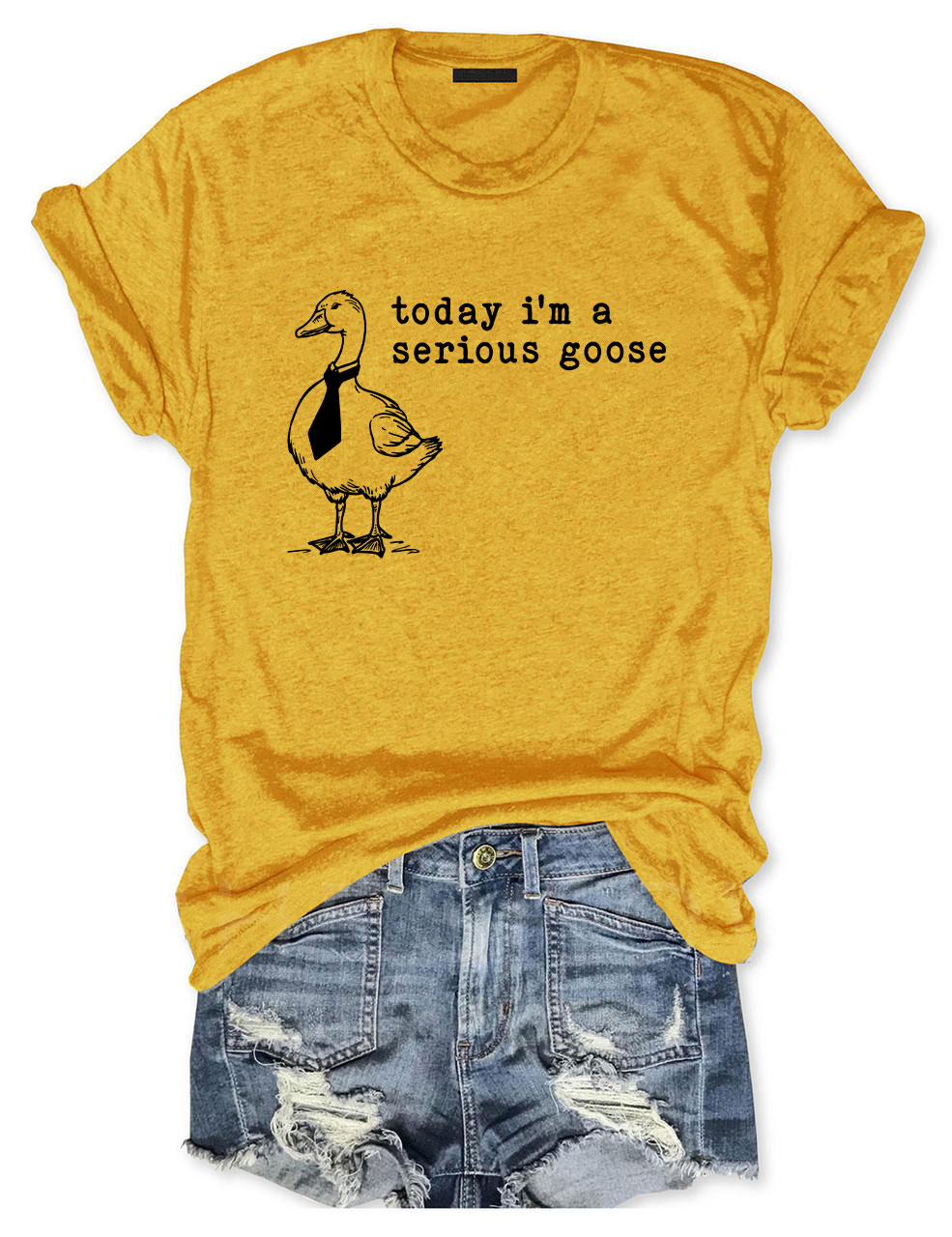 Today I'm a Serious Goose T-Shirt