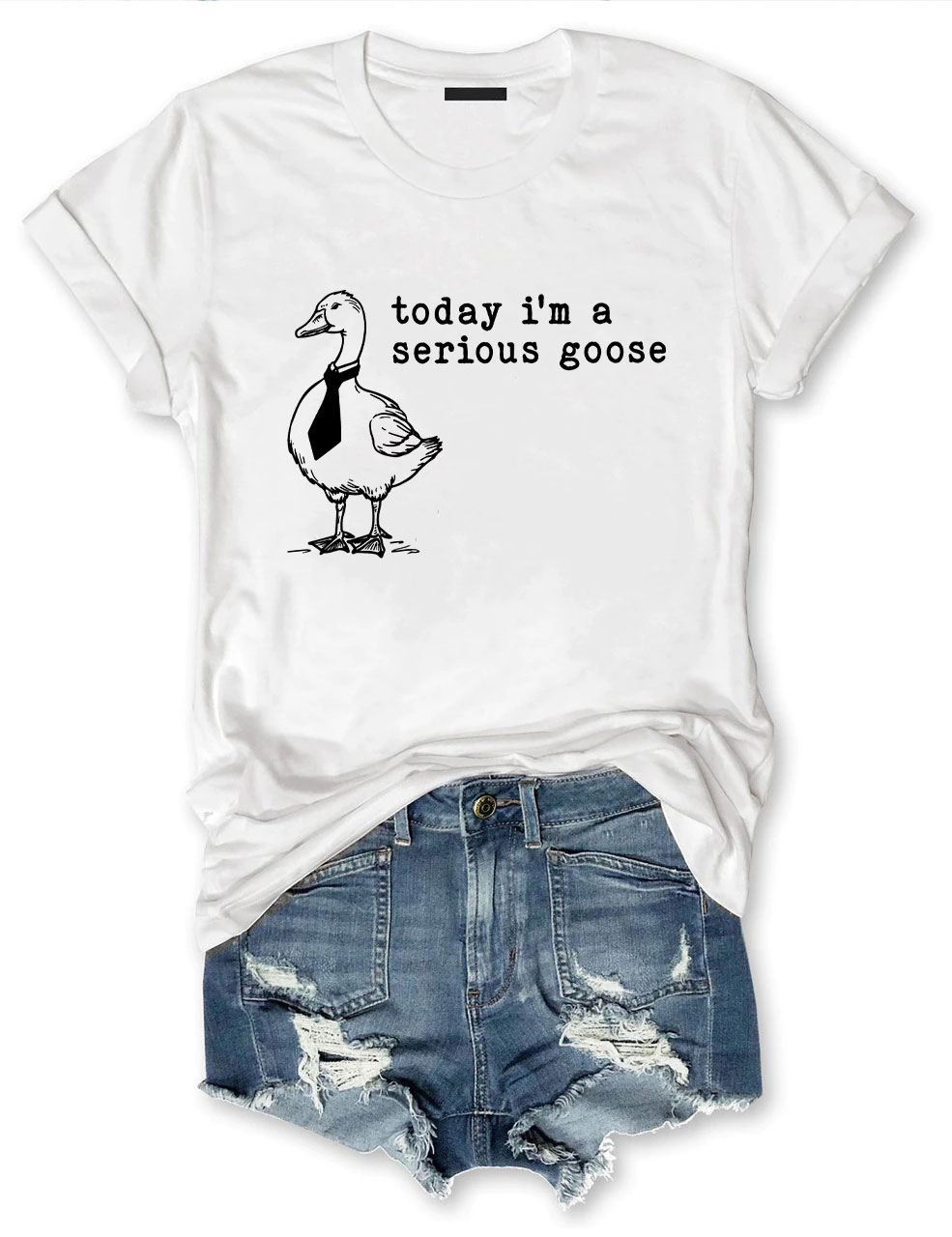 Today I'm a Serious Goose T-Shirt