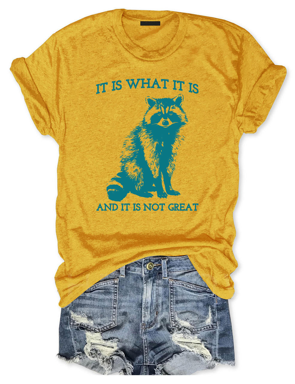 It Is What It Is And It Is Not Great T-shirt
