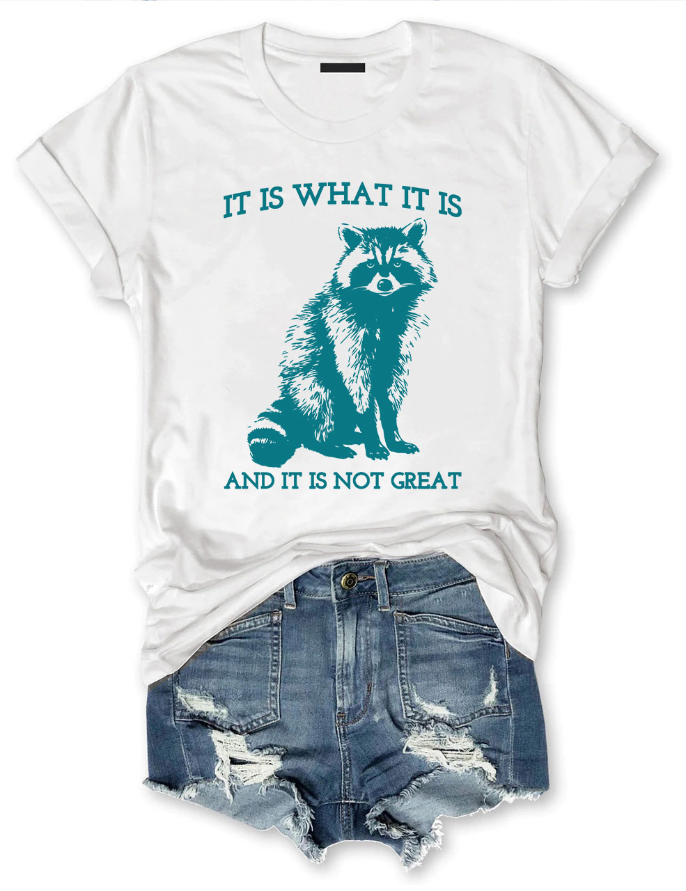 It Is What It Is And It Is Not Great T-shirt