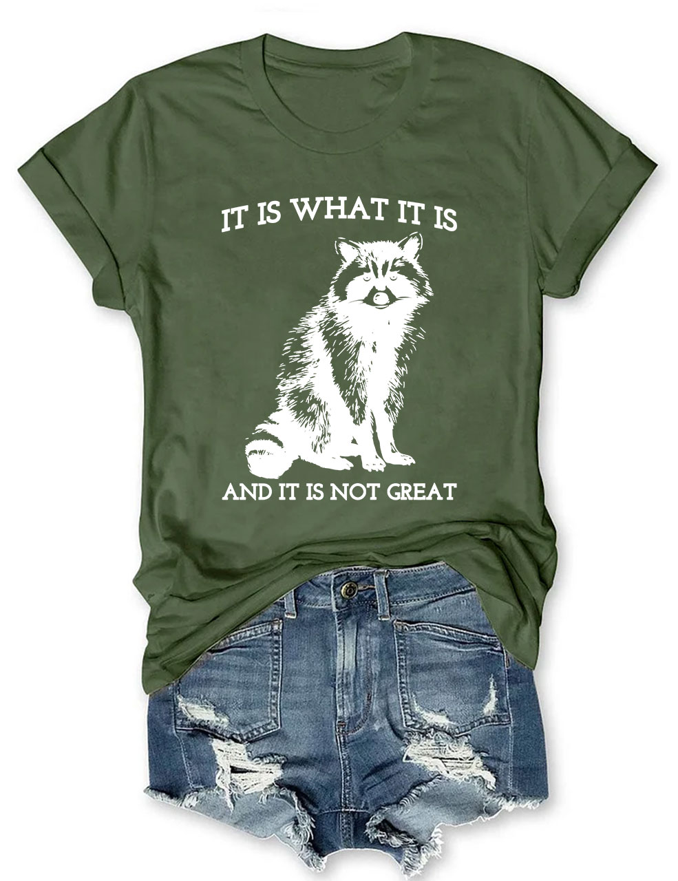It Is What It Is And It Is Not Great T-shirt