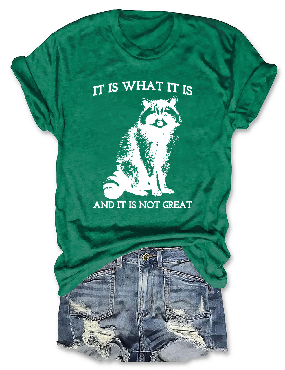 It Is What It Is And It Is Not Great T-shirt