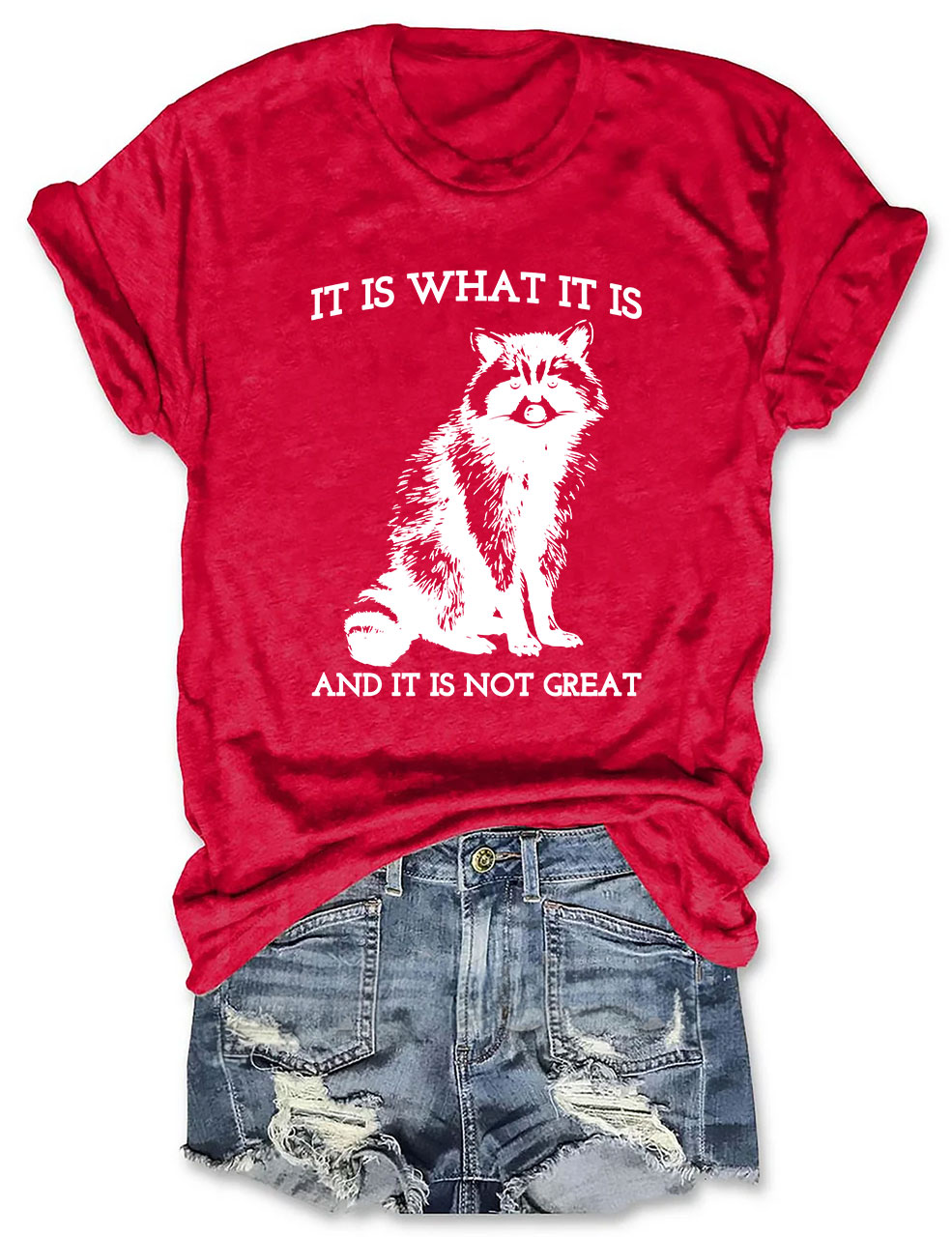 It Is What It Is And It Is Not Great T-shirt
