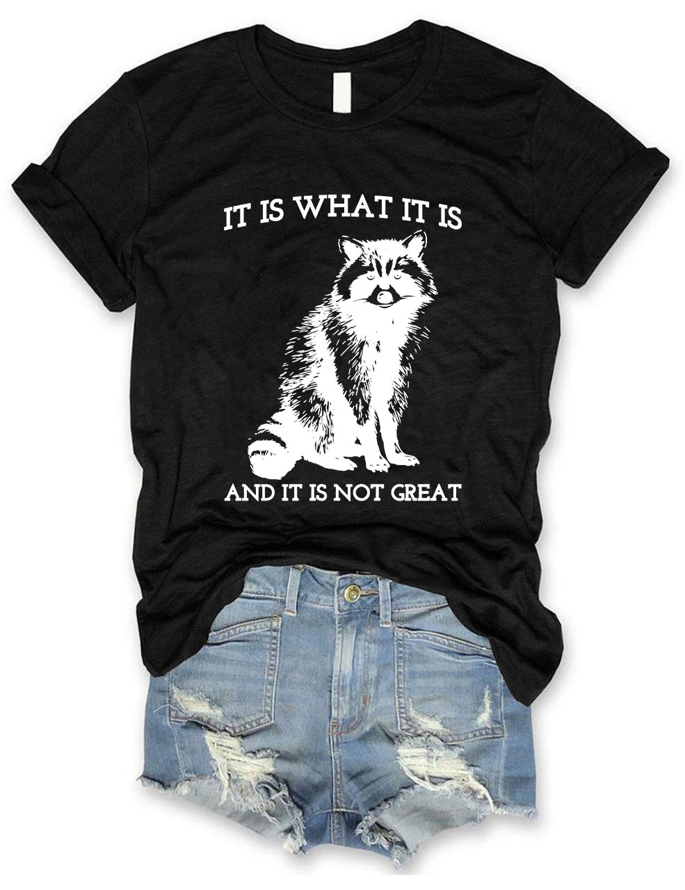 It Is What It Is And It Is Not Great T-shirt