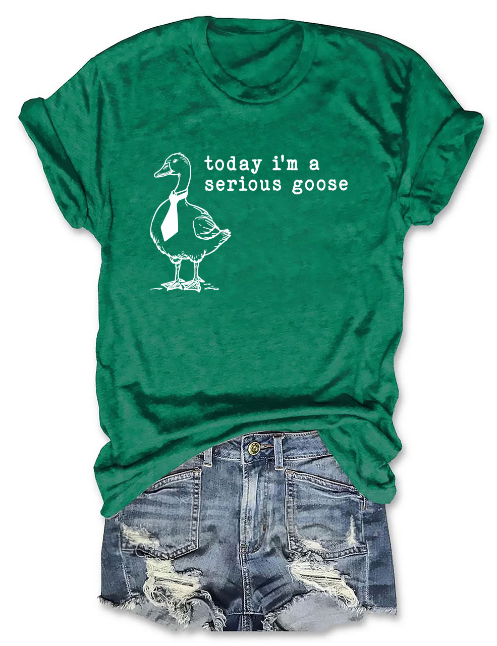 Today I'm a Serious Goose T-Shirt