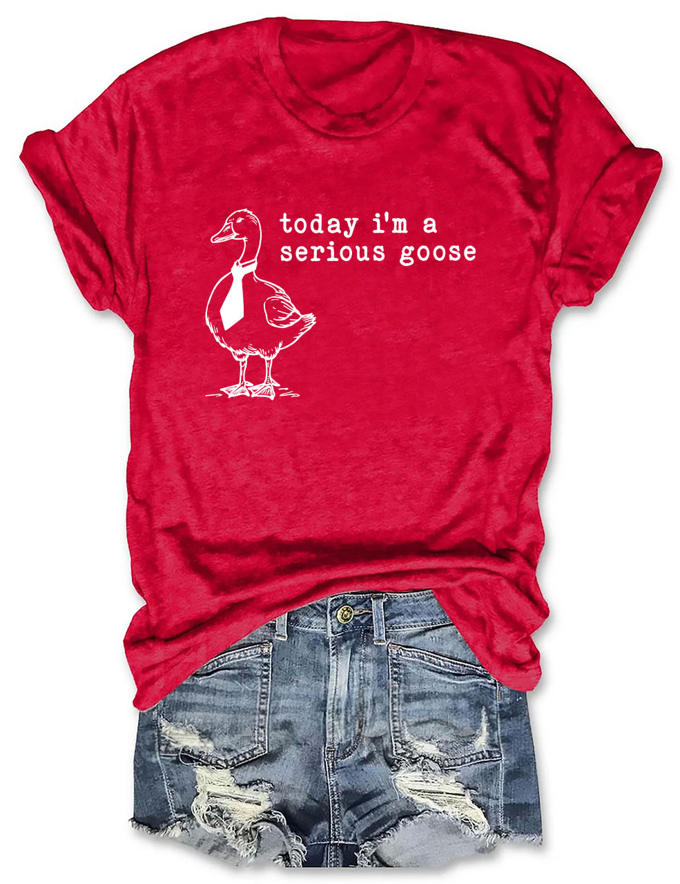 Today I'm a Serious Goose T-Shirt